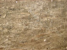Image result for Wood Texture for Bed