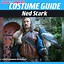 Image result for Ned Stark Costume