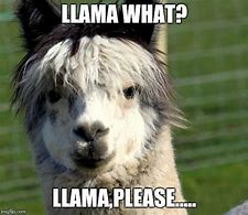 Image result for Llama Memes Clean