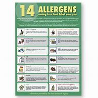 Image result for Allergy Poster