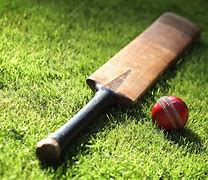Image result for Best Cricket Shos