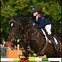 Image result for Equitation Cheval