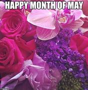 Image result for May Month Meme