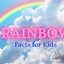 Image result for Rainbow Facts Worksheets Printable