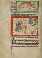 Image result for Medieval Bestiary