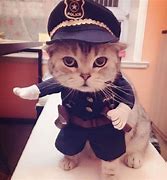 Image result for Officer Cat Meme