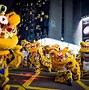 Image result for Hong Kong New Year Fireworks