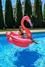 Image result for Flamingo Pool Float Standing