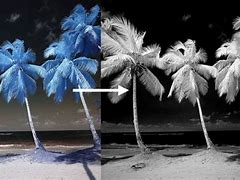 Image result for Infrared Filter Effects