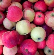 Image result for Red Delicious Apple Spur-Type