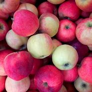 Image result for Heirloom Apples