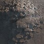 Image result for Displacement Map Texture