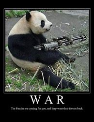 Image result for Fat Panda Meme