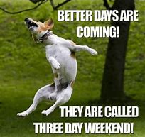 Image result for Three-Day Weekend Dog Meme