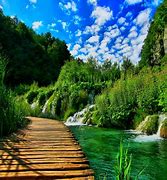Image result for Nature Home Screen Wallpaper