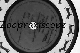 Image result for co_to_za_zoopraksiskop