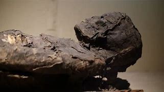 Image result for Mummy Skeleton Bones Cut Out