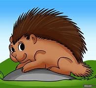 Image result for Porcupine Simple