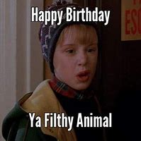 Image result for Funny Animal Happy Birthday Memes