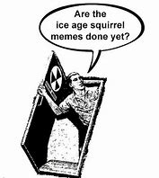 Image result for Ice Age Squirrel Meme