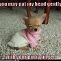 Image result for Pinterest Funny Animal Memes