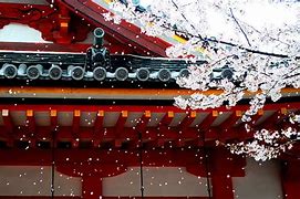 Image result for Tokidoki Cherry Blossom Wallpaper