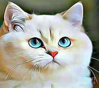 Image result for Persian Cat Drawing