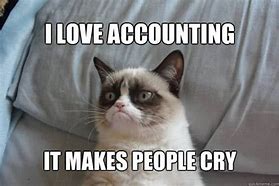 Image result for Big 4 Accounting Memes