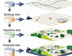 Image result for Geographic Location in Selection Process