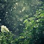 Image result for Images of Rain Falling