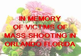 Image result for Florida in Memory of Sign