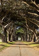Image result for 39 Cypress Rd., Point Reyes Station, CA 94956 United States