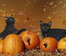 Image result for Halloween Wallpaper Cool Cute