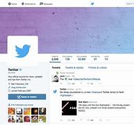 Image result for Twitter Profile Examples