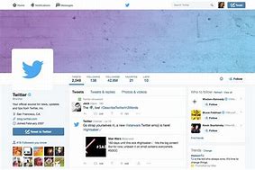 Image result for Twitter Profile Example