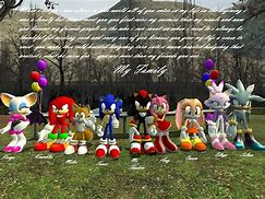 Image result for Shadow the Hedgehog Family