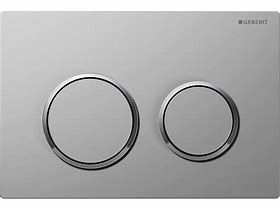 Image result for Flush Button