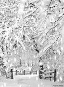 Image result for Animated Winter Landscape
