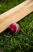 Image result for Pic of Bat and Ball
