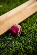 Image result for Cricket Bat and Ball Laying On Grass