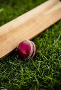 Image result for Cricket Bat and Ball