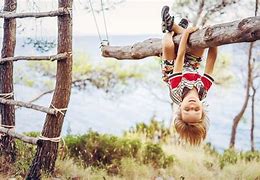 Image result for Hang From Branches