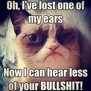 Image result for Tard the Grumpy Cat Meme