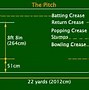 Image result for Cricket Pitch Line Top View