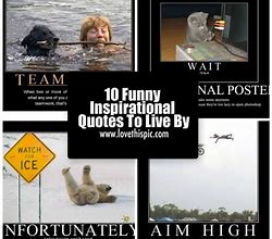 Image result for Funny Motivational Quotes to Live By