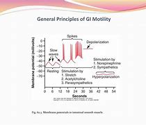 Image result for Principles of GI for NP PA