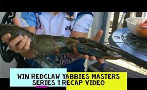 Image result for Red Claw Yabbies