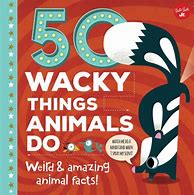 Image result for wacky animals