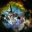 Image result for Black Cat with Galaxy Background