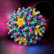Image result for HBV Virus